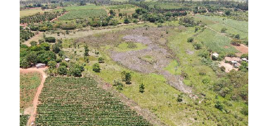 CCR ViaOeste realizará plantio compensatório de aproximadamente 56 hectares de vegetação nativa